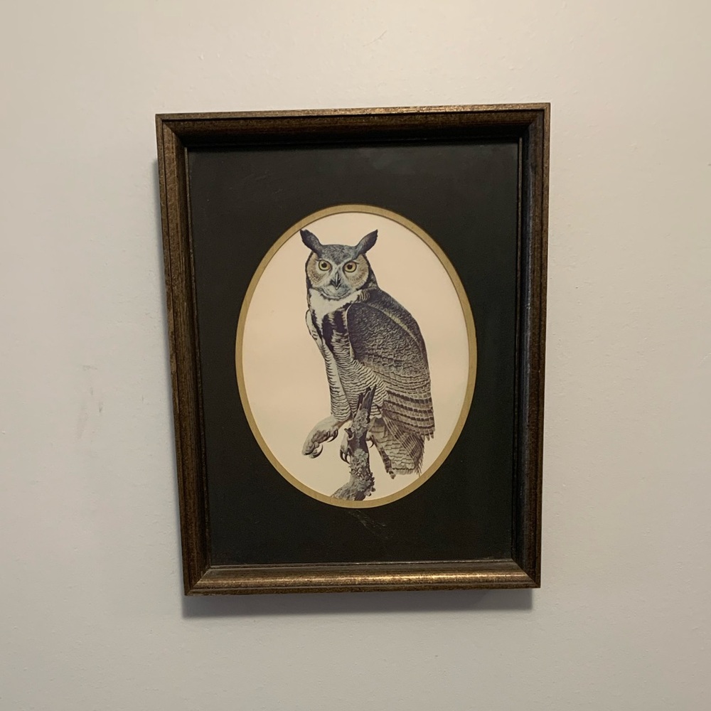 Awesome Owl Art